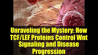 Unraveling The Mystery How Tcflef Proteins Control Wnt Signaling And Disease Progression