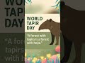 # Happy World Tapir Day #
