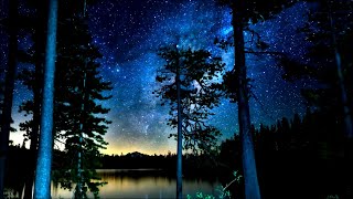 Lane 8 - Every Night