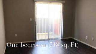 Residences at Northgate- Apt 169 One bedroom (718 sq. ft)
