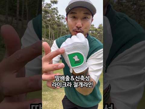 #<strong>골프장갑</strong> #양피골프장갑 #골프 #<strong>골프장갑</strong>
