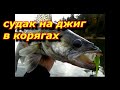 ЛОВЛЯ Судака на Джиг в коряжнике. Первый раз ловлю судака.