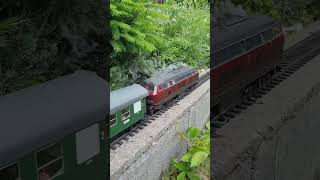 Marklin bonanza #train #railway #marklin #spur1 #gardenrailway