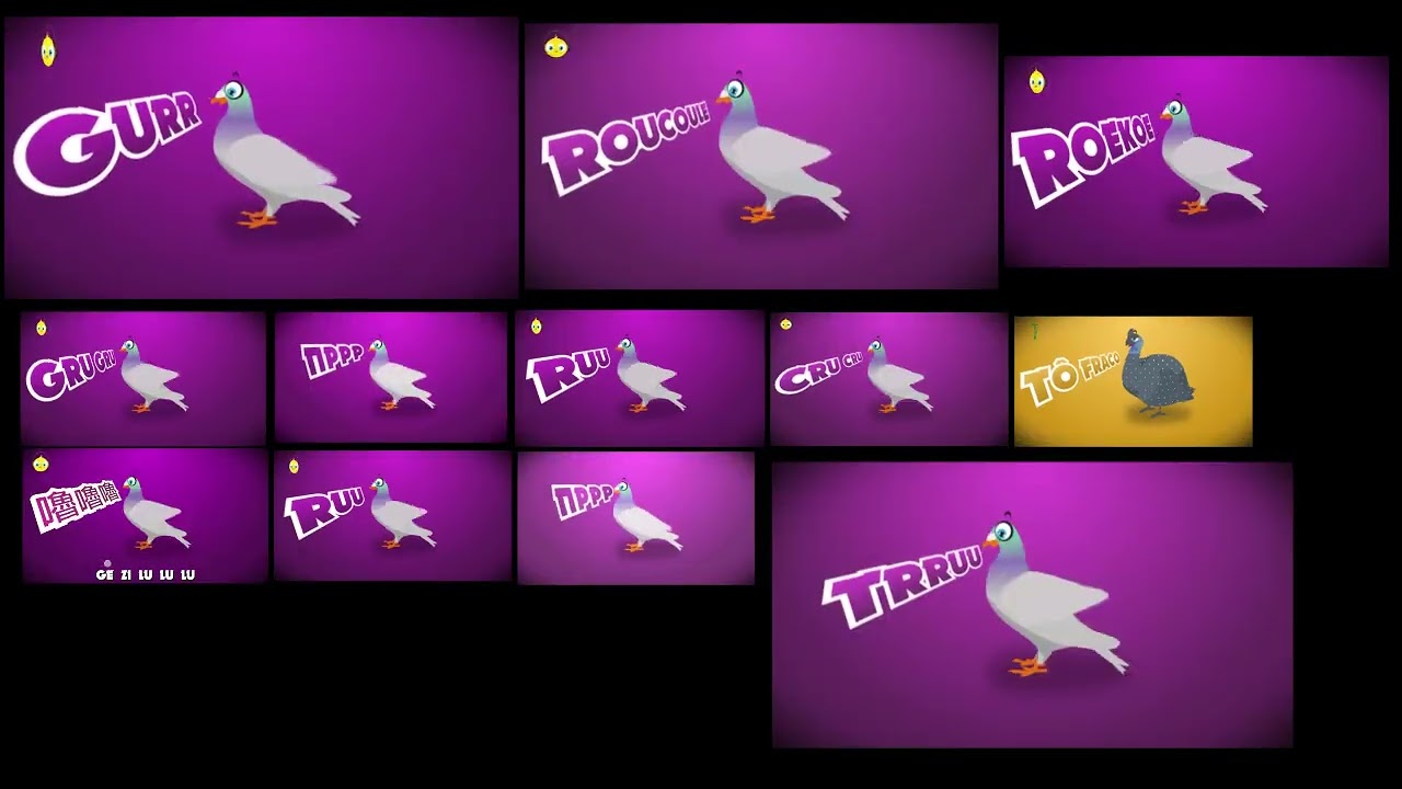 Pollito pio poliglota