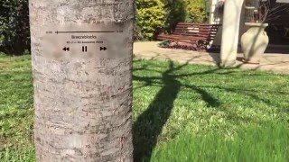 Music is a Part of Nature  (Alt-J - Breezeblocks)