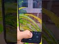 Samsung Galaxy A36 5G 📷 Camera Test #Samsung #phonkmusic #phonk #Samsunggalaxya365g #galaxy #samsung