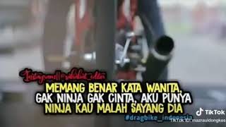 Story WA anak racing