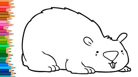 how to draw wombat easy
