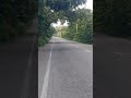 dehradun mohond road view after dehradun to Delhi express way open..#silent road#roads#short feed..
