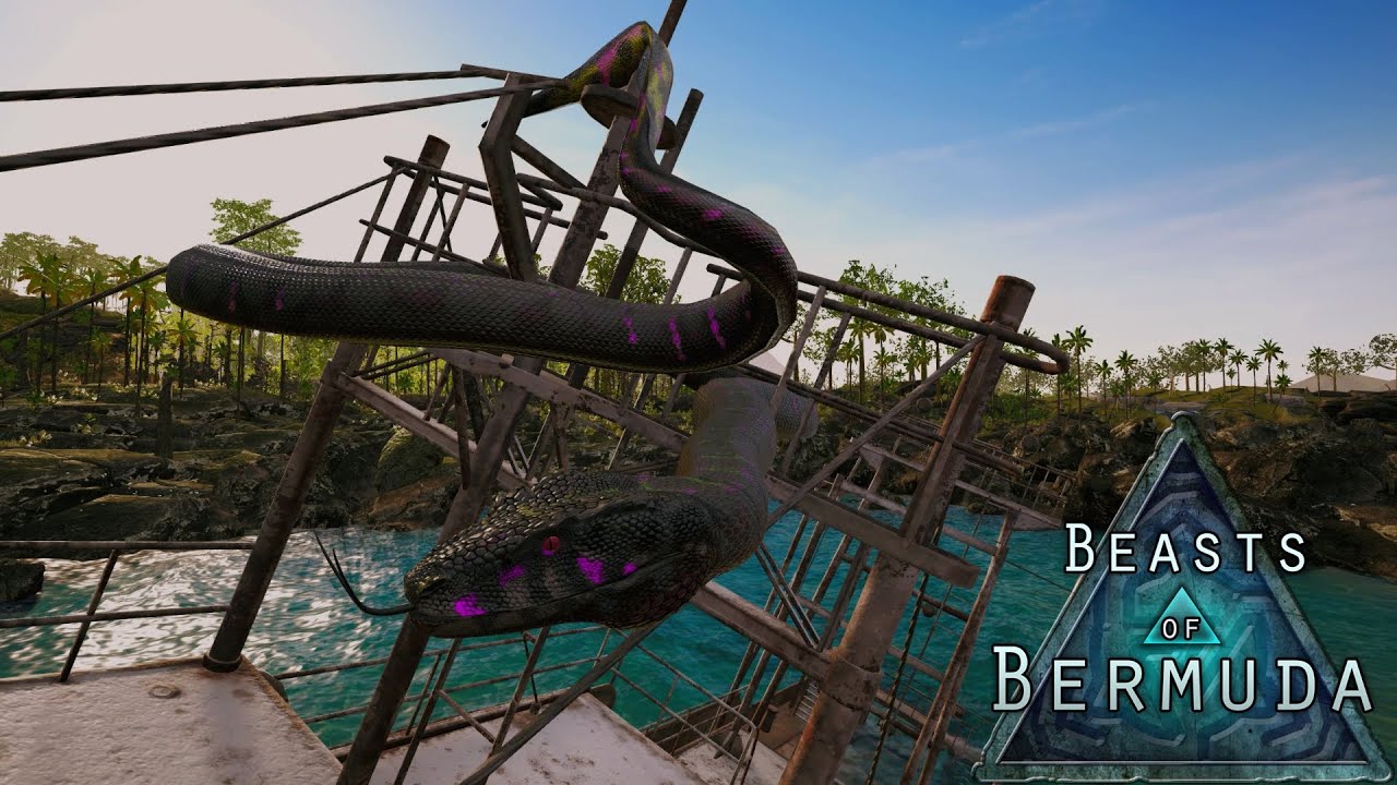 The life of a 2.6 Terrestrial Snake (Beasts Of Bermuda)