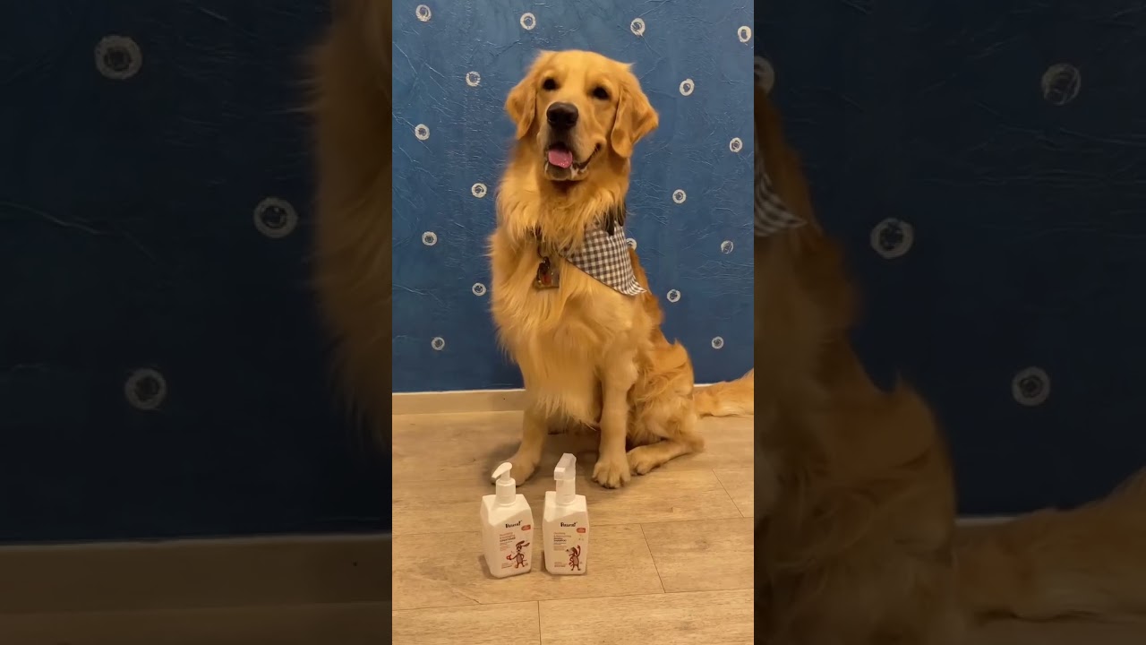 Quick Wash Combo - Waterless Shampoo & Conditioner for Busy Days! 