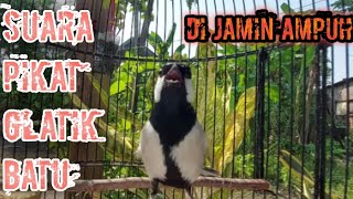 Download Lagu SUARA ASLI GLATIK BATU Buat pikat atau pemasteran MP3 Download Lagu SUARA ASLI GLATIK BATU Buat pikat atau pemasteran MP3