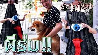 ผีร่ม VS หมา !! แกล้งน้องด้วยผีร่ม - DING DONG DAD