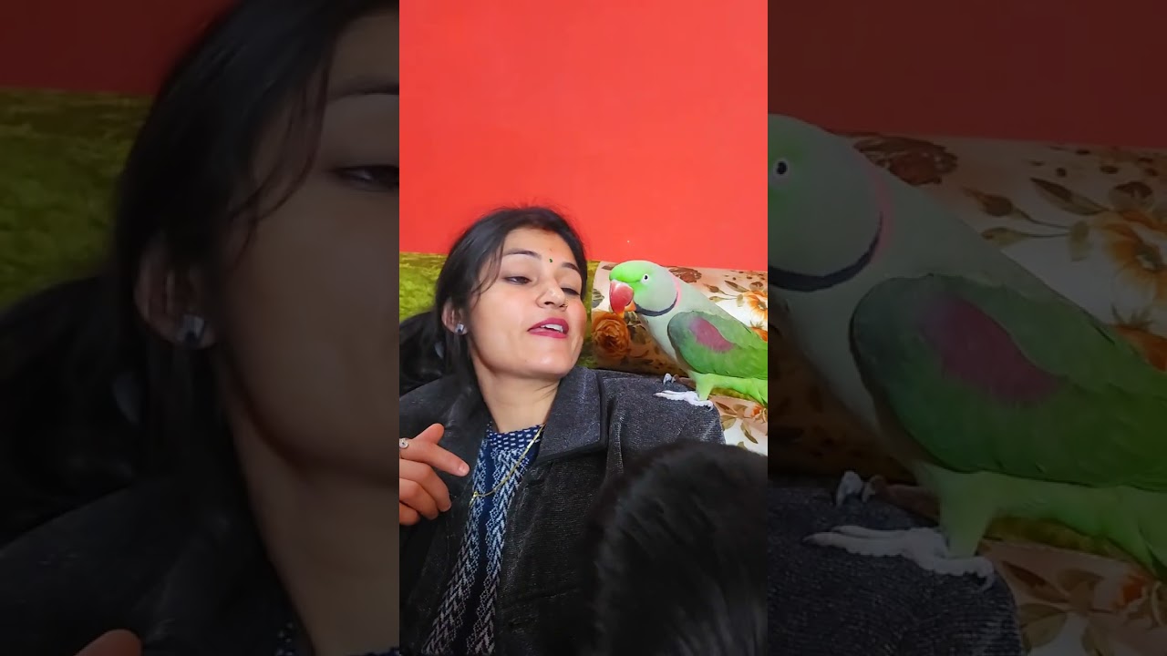 Parrot ki voice full volume main sun k dikhao 