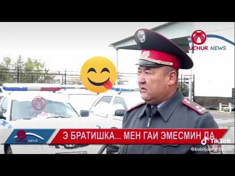 Видео для статуса ватсап/ ГАИШНИКИ/ 😅🔥