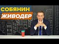 Навальный: «Зачем Собянин мучает котов?»
