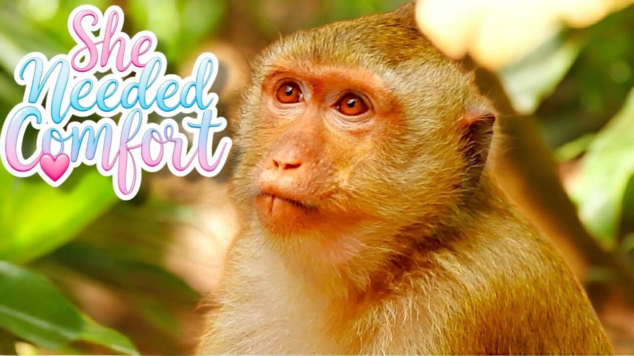 Rainbow Needed Comfort Today 💔 What Her Friends Did After the Fight Was Truly Beautiful