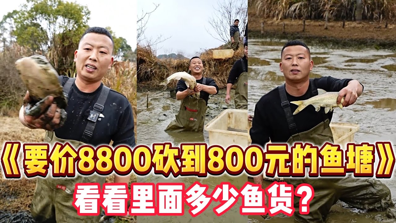 開價8800塊的魚塘直接砍價到880，看看裏面能上多少貨#三农  #户外  #包塘 #漁民