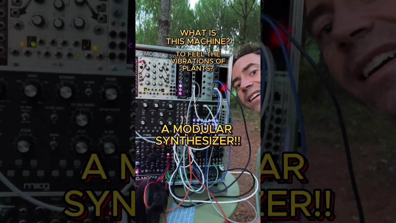 The Machine That Listens to Plants | 432Hz Modular Synth & Bio Energy Music