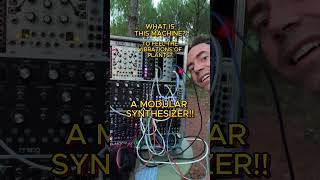 The Machine That Listens To Plants 432Hz Modular Synth Bio Energy Music
