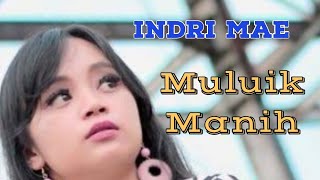 Indri Mae Terbaru | MULUIK MANIH (  )