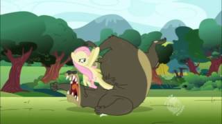 Fluttershy beats up a bear