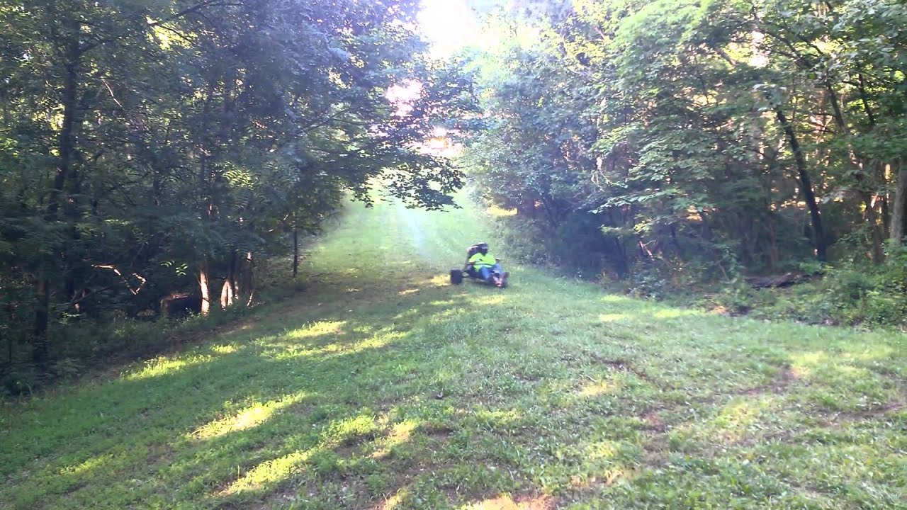 Alsport Tri Sport with Rotax 399