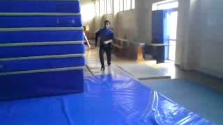 palm gainer