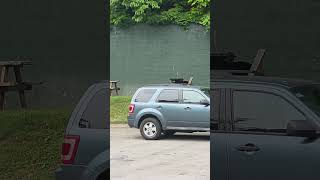 Unexpected Black Bear Sighting on Property