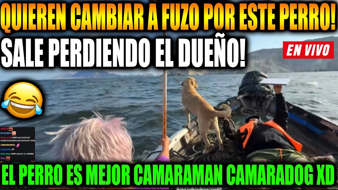 😱KINGTEKA MOMENTS CLIPS! ESTABAN CON LA LENGUA AFUERA, TODOS ESTOS GORDO NO AGUANTARON |Dota 2✅