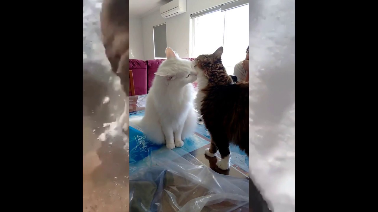 Compilation 0 7 2020 