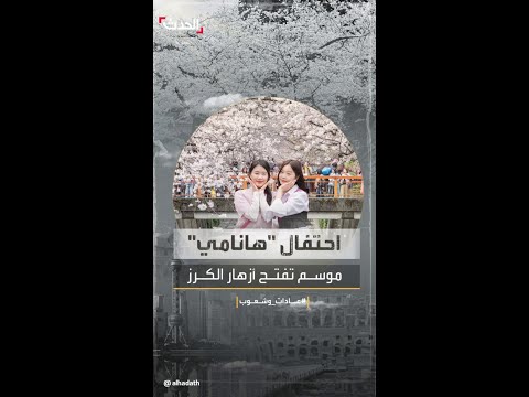 عادات وشعوب اليابانيون يحتفلون ب هانامي موسم تفتح أزهار الكرز