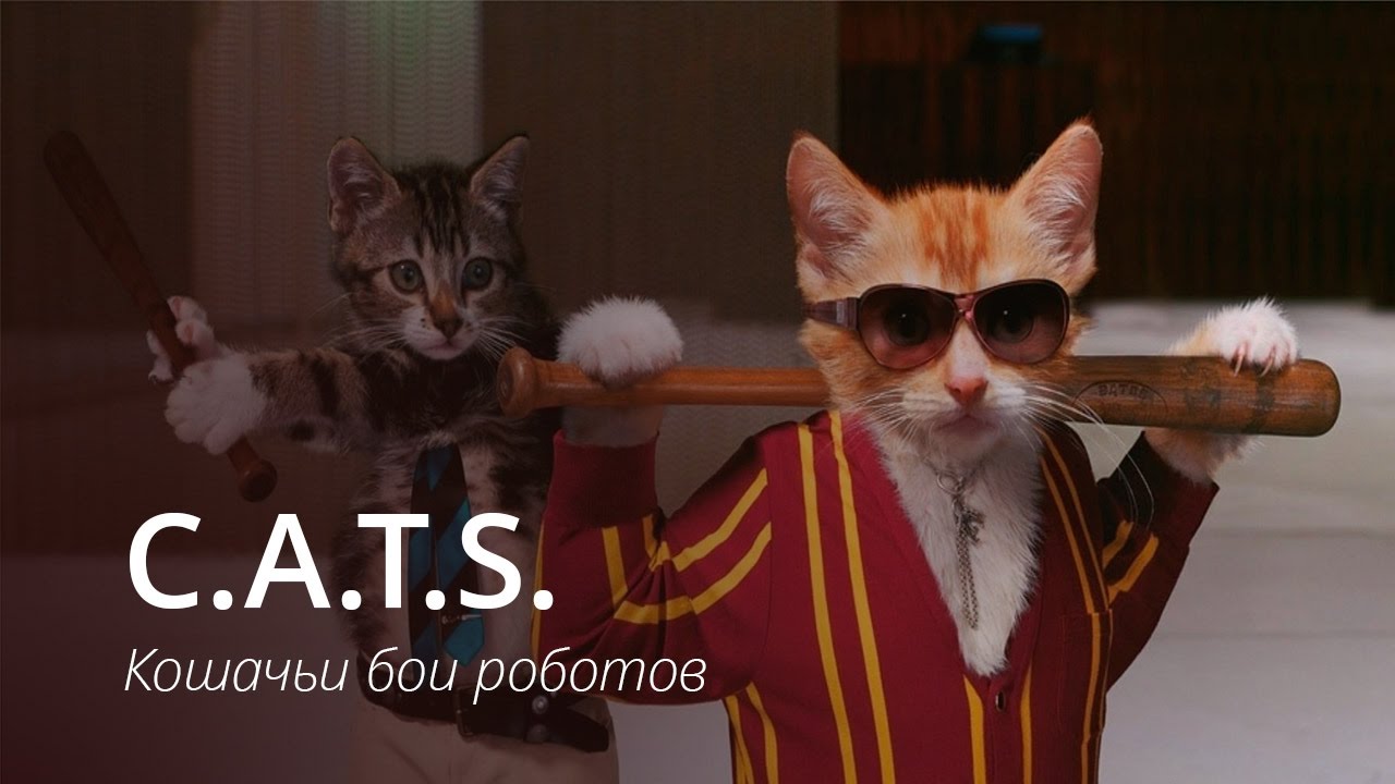 CATS — очередной хит от ZeptoLab?. Фото.