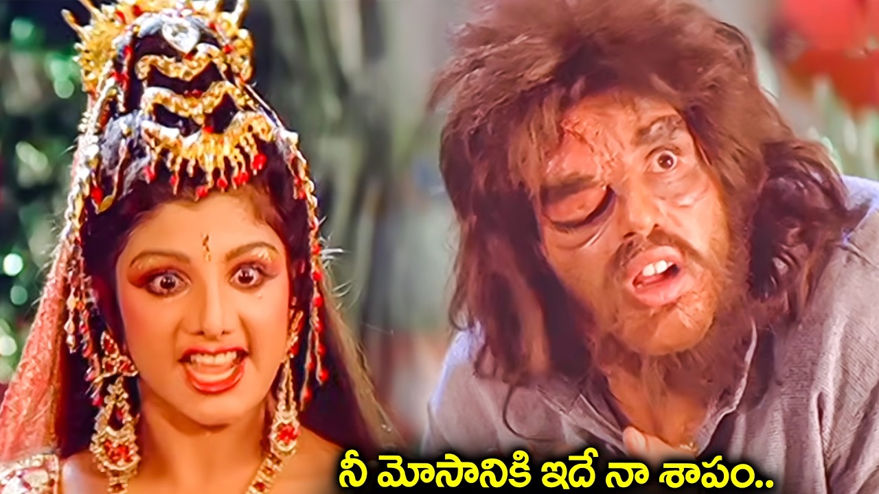 విజయ్ కి యక్షిణి వేసిన శాపం | Bhairava Dweepam Interesting Scenes | Balakrishna | Roja