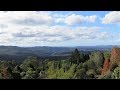 Botanic Gardens @ Mount Tomah, NSW