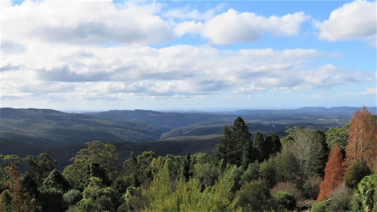 Botanic Gardens Mount Tomah, NSW YouTube