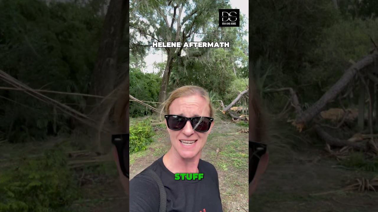Hurricane Helene Aftermath 2024 - In Gainesville, Florida