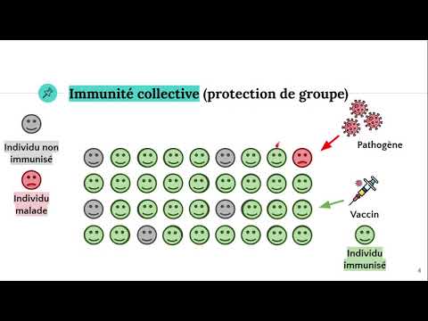 Vidéo: Sommes-nous plus proches de l'immunité collective ?