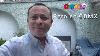 Fiesta Oaxaqueña en CDMX
