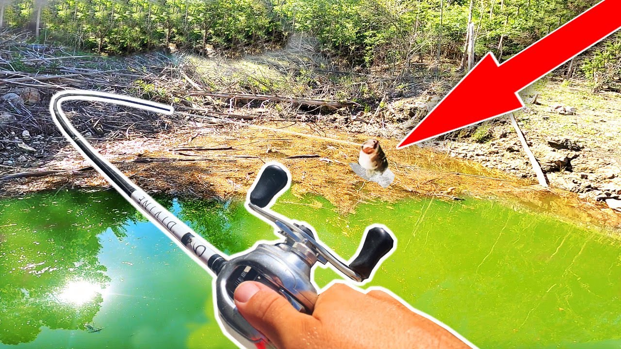 WINNING $30,000 at a Fishing Tournament??? HIGH STAKES Championship Event!!