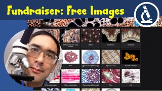 🔬 Fundraiser: Support needed to buy a microscope to build a free image and video library