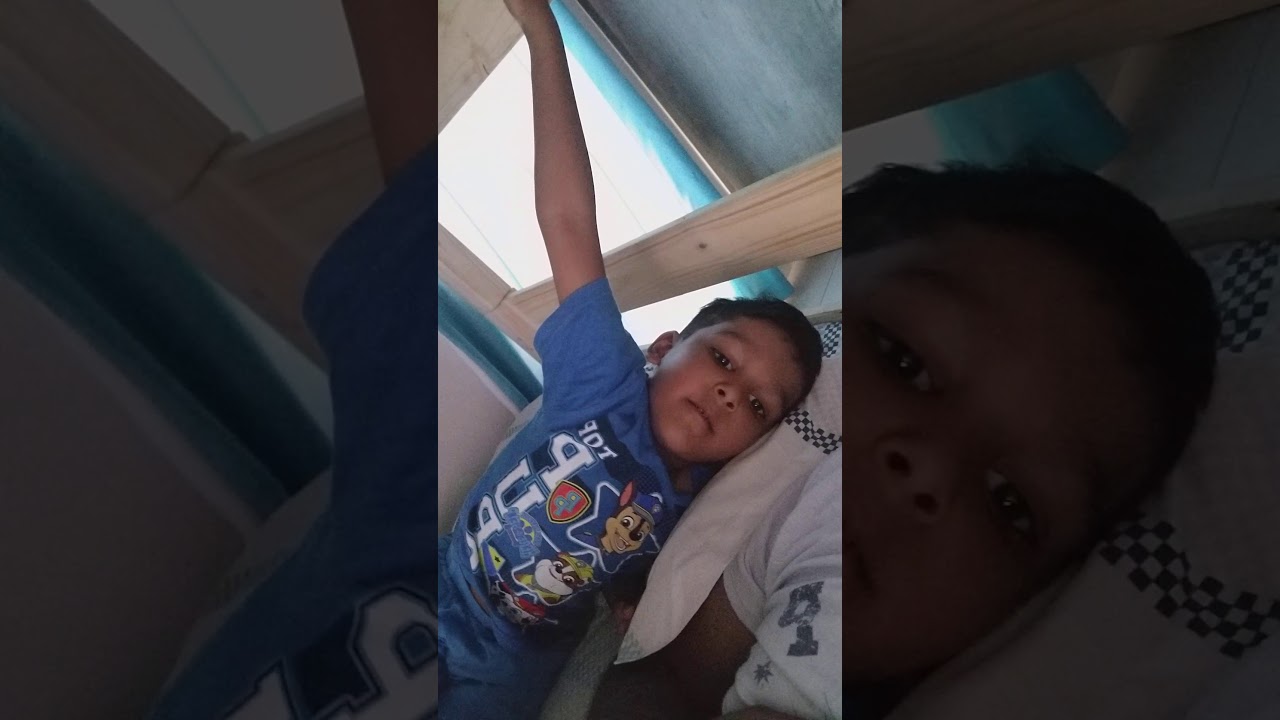 Secret Stash Bunkbed 