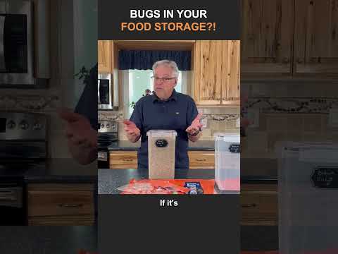 How to Get Rid of Bugs In Your Stored Grains