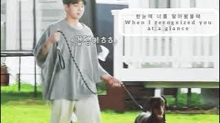 [ENG/KOR] Jungkook cover EVERY MOMENT OF YOU with Jeon Bam /정국의 너의 모든 순간 (원곡:성시경) -  밤이도 함께🤍