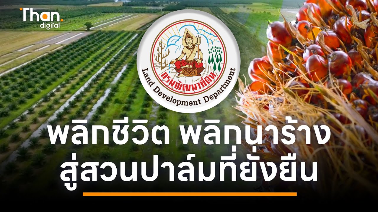 พลิกชีวิต พลิกนาร้าง สู่สวนปาล์มที่ยั่งยืน | THANTALK | 20 มิ.ย. 68