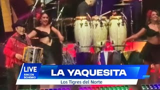 La Yaquesita | Los Tigres del Norte | Arena Monterrey