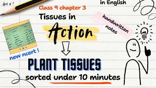 Tissues in Action in 10 Mins || Class 9 Science Chapter 3 || Plant Tissues || New NCERT