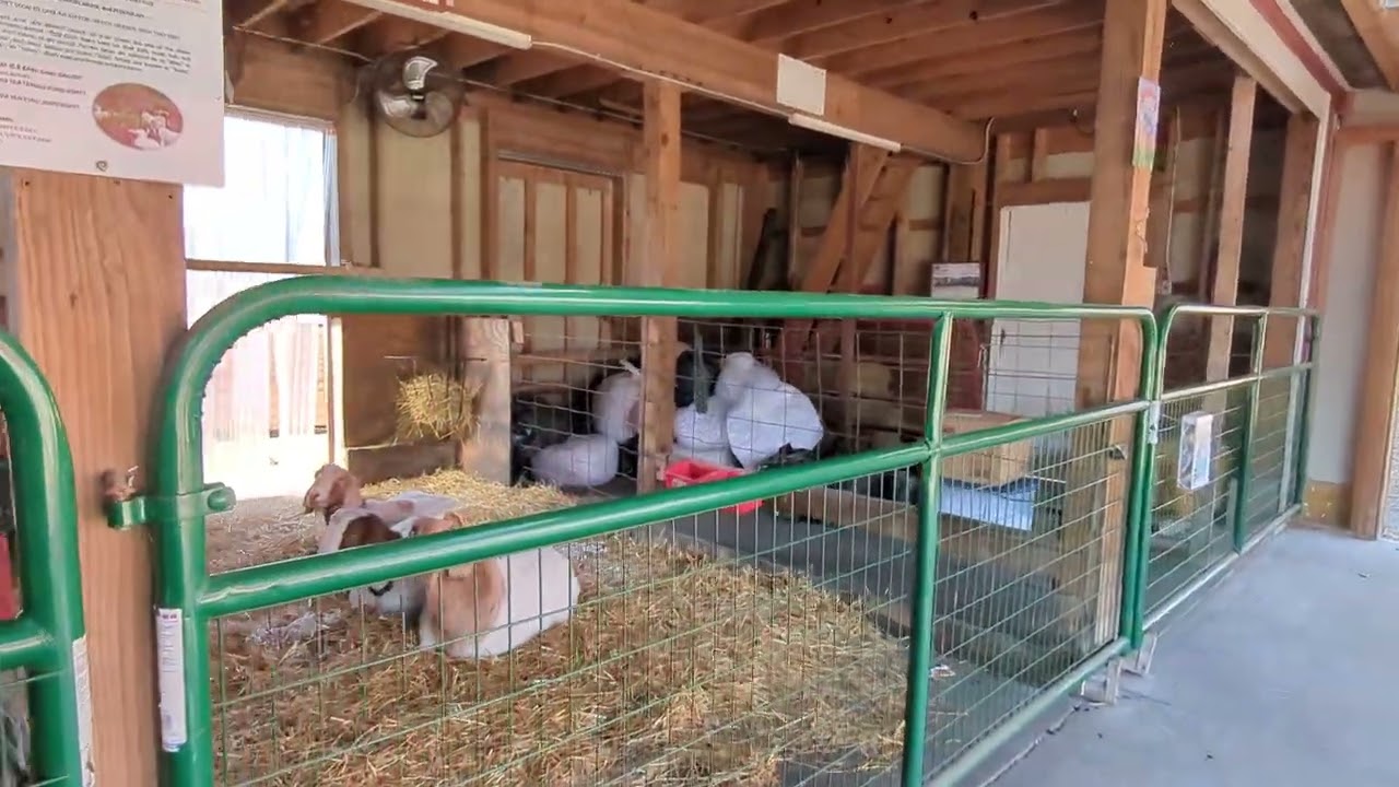 Walking around Willoughby Heritage Farm February 13