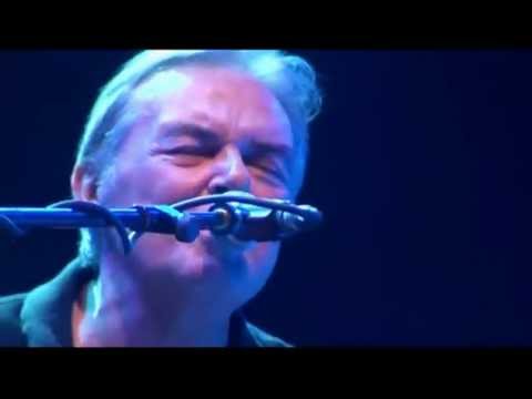 Mauro Pagani, Domani