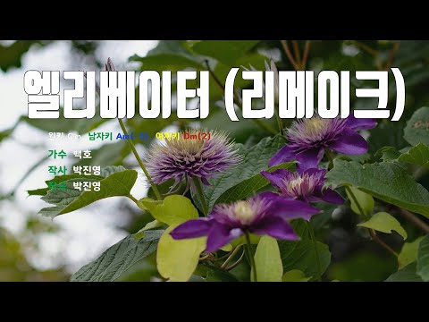 [은성 반주기] 엘리베이터(리메이크) - 백호